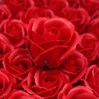 Flower Soap for Craft - Med Rose - Red